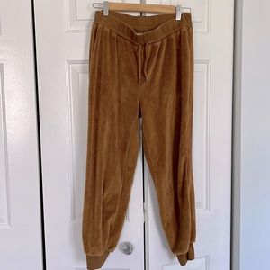 Madewell velour joggers